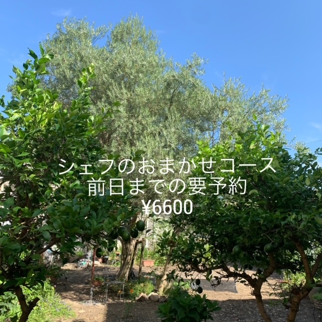画像：Lunch